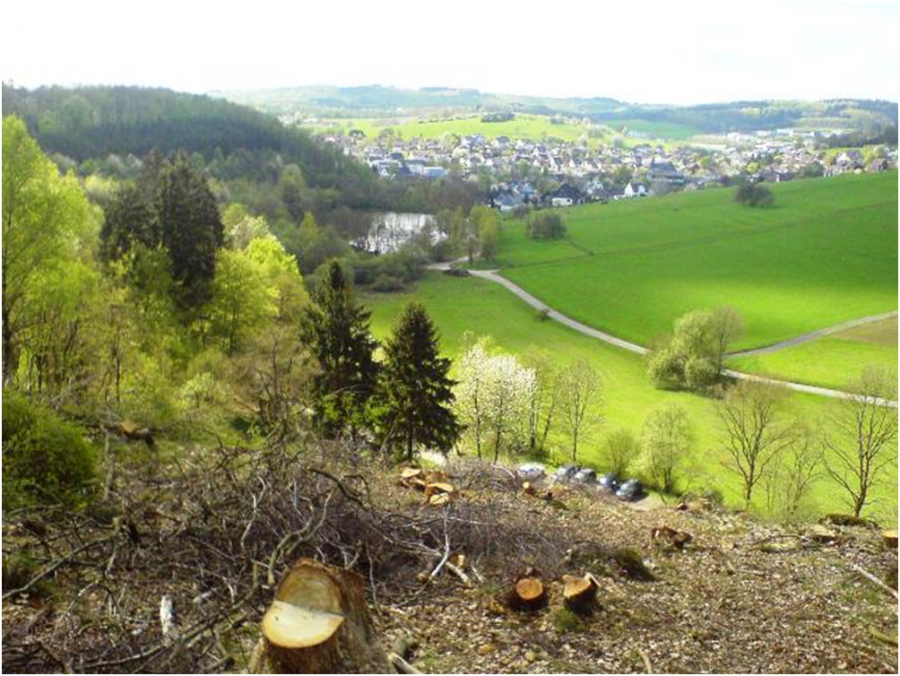 Freudenberg