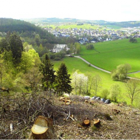 Größeres Bild ansehen